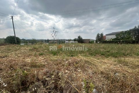Helårsgrund i Tomar, Santarem, Tomar - € 45.000 | Ref: 01550-25 - foto 18