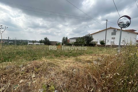 Helårsgrund i Tomar, Santarem, Tomar - € 45.000 | Ref: 01550-25 - foto 19