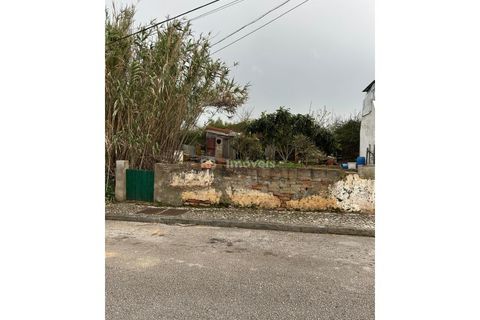 Helårsgrund i Entroncamento, Santarem, Entroncamento - € 54.500 | Ref: 01563-25 - foto 6