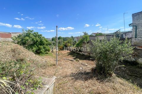 Ruinere i Abrantes, Santarem, Abrantes - € 45.000 | Ref: 01560-25 - foto 9