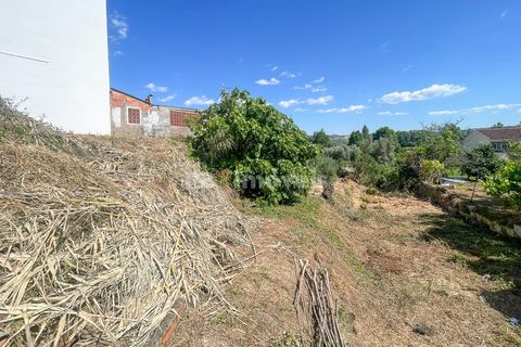 Ruinere i Abrantes, Santarem, Abrantes - € 45.000 | Ref: 01560-25 - foto 10