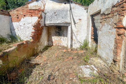 Ruinere i Abrantes, Santarem, Abrantes - € 45.000 | Ref: 01560-25 - foto 14