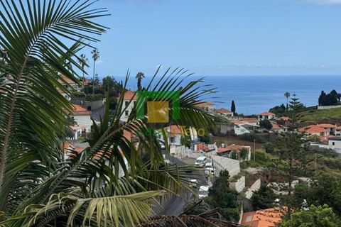 Villa a Funchal, Madeira, Funchal - € 450.000 | Ref: CT-1828/2025 - foto 3