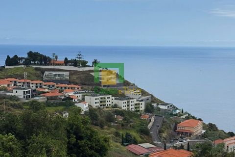 Villa a Funchal, Madeira, Funchal - € 450.000 | Ref: CT-1828/2025 - foto 4