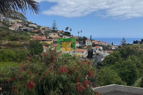 Villa a Funchal, Madeira, Funchal - € 450.000 | Ref: CT-1828/2025 - foto 8