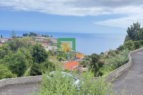 Villa a Funchal, Madeira, Funchal - € 450.000 | Ref: CT-1828/2025 - foto 9