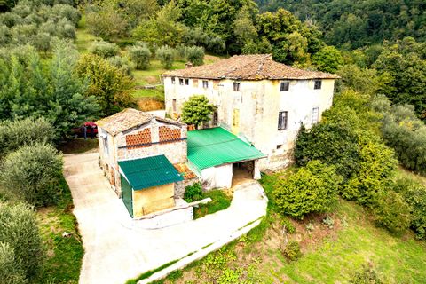 Landejendom i Lucca, Lucca, Lucca - € 299.000 | Ref: APS-515 - foto 17