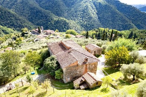 Landejendom i Lucca, Lucca, Lucca - € 299.000 | Ref: APS-515 - foto 22