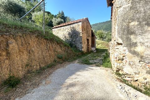 Landejendom i Lucca, Lucca, Lucca - € 299.000 | Ref: APS-515 - foto 23