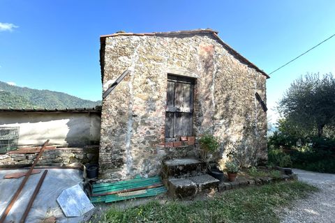 Landejendom i Lucca, Lucca, Lucca - € 299.000 | Ref: APS-515 - foto 26