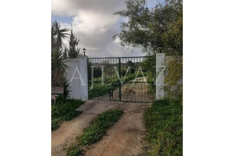 Farm i Luz, Faro, Luz - € 430.000 | Ref: MAS_329 - foto 4