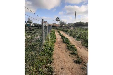 Farm i Luz, Faro, Luz - € 430.000 | Ref: MAS_329 - foto 5