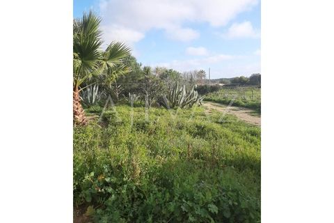 Farm i Luz, Faro, Luz - € 430.000 | Ref: MAS_329 - foto 6