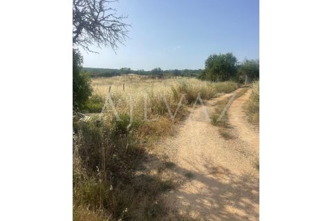 Farm i Luz, Faro, Luz - € 430.000 | Ref: MAS_329 - foto 19