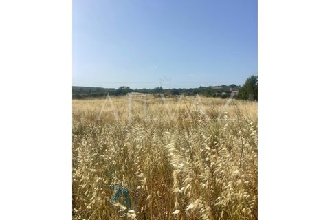 Farm i Luz, Faro, Luz - € 430.000 | Ref: MAS_329 - foto 20