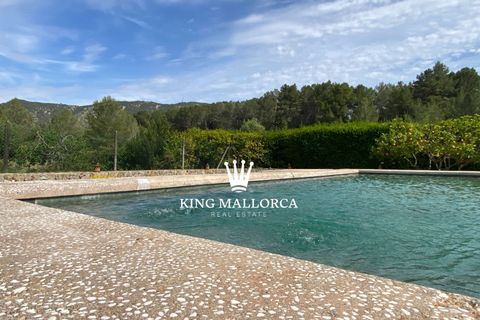 Villa i Calvia, Mallorca - foto 2