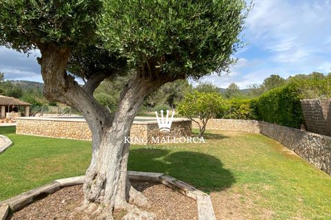 Villa a Calvia, Mallorca, Calvia - € 1.995.000 | Ref: KM-Calvia - foto 44