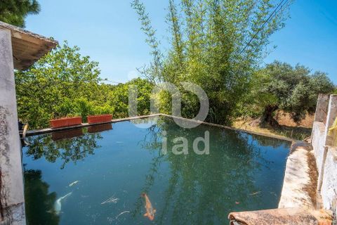 Byhus i Olhao, Faro, Olhao - € 540.000 | Ref: 142966 - foto 24