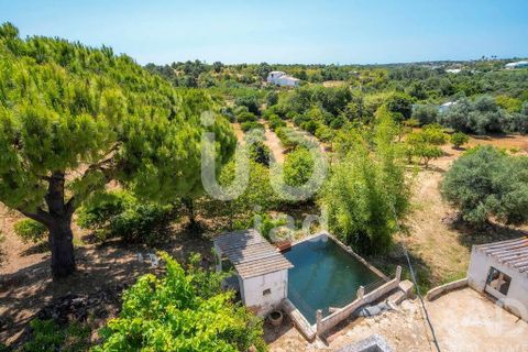 Byhus i Olhao, Faro, Olhao - € 540.000 | Ref: 142966 - foto 27