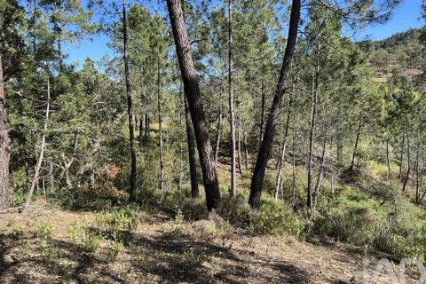 Helårsgrund i Loule, Faro, Loule - € 22.500 | Ref: 93875 - foto 6