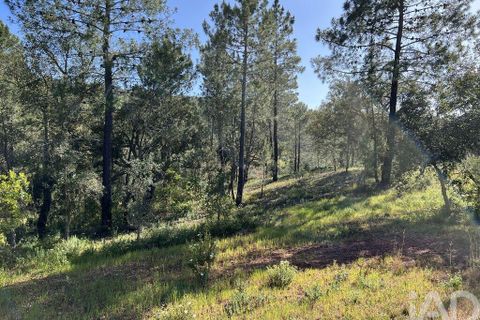 Helårsgrund i Loule, Faro, Loule - € 22.500 | Ref: 93875 - foto 7