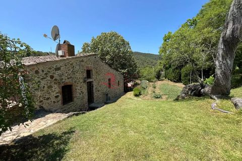 Villa i Vall-Llobrega, Gerona, Vall-Llobrega - € 2.300.000 | Ref: CBF6022 - foto 16