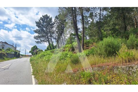 Helårsgrund i Viseu, Viseu, Viseu - € 65.000 | Ref: 1180556/25VS - foto 1