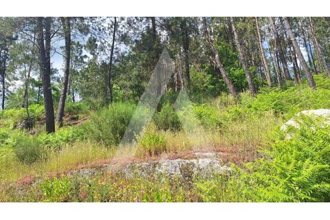 Helårsgrund i Viseu, Viseu, Viseu - € 65.000 | Ref: 1180556/25VS - foto 2