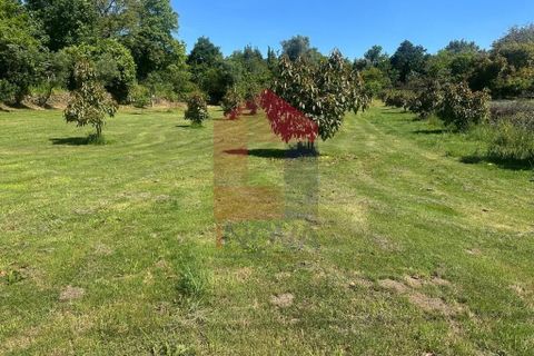 Helårsgrund i Vila Verde, Braga, Vila Verde - € 85.000 | Ref: 08643 - foto 11