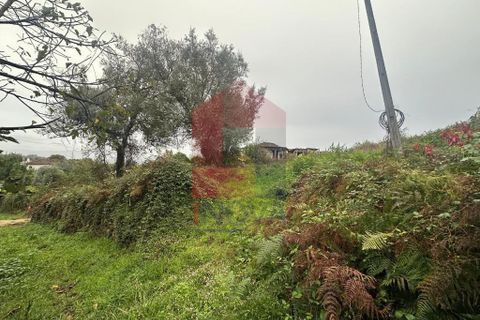 Helårsgrund i Vila Verde, Braga, Vila Verde - € 86.500 | Ref: 08642 - foto 14