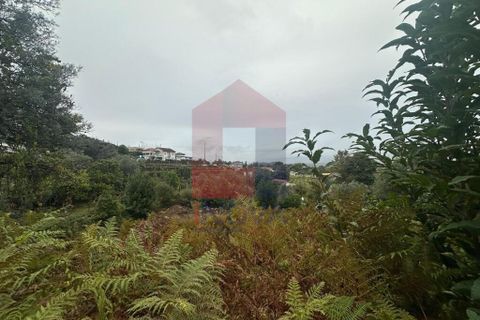 Helårsgrund i Vila Verde, Braga, Vila Verde - € 86.500 | Ref: 08642 - foto 15