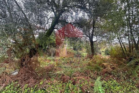 Helårsgrund i Vila Verde, Braga, Vila Verde - € 86.500 | Ref: 08642 - foto 16