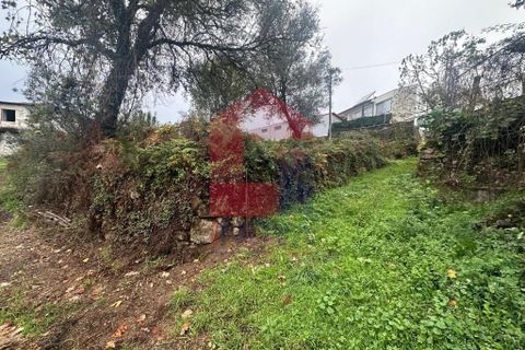 Helårsgrund i Vila Verde, Braga, Vila Verde - € 86.500 | Ref: 08642 - foto 18