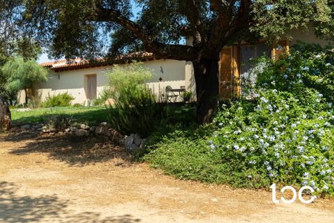 Villa a Padru, Olbia Tempio, Padru - € 610.000 | Ref: PD1140 - foto 3