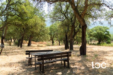 Villa a Padru, Olbia Tempio, Padru - € 610.000 | Ref: PD1140 - foto 4
