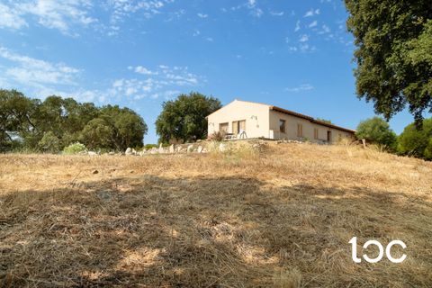 Villa a Padru, Olbia Tempio, Padru - € 610.000 | Ref: PD1140 - foto 7