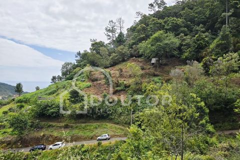 Helårsgrund i Machico, Madeira, Machico - € 350.000 | Ref: DR463 - foto 1
