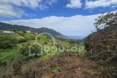 Helårsgrund i Machico, Madeira, Machico - € 350.000 | Ref: DR463 - foto 2