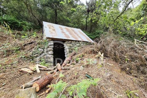 Helårsgrund i Machico, Madeira, Machico - € 350.000 | Ref: DR463 - foto 3