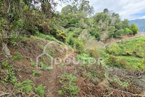Helårsgrund i Machico, Madeira, Machico - € 350.000 | Ref: DR463 - foto 4