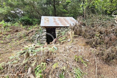 Helårsgrund i Machico, Madeira, Machico - € 350.000 | Ref: DR463 - foto 5