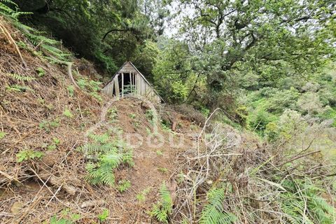 Helårsgrund i Machico, Madeira, Machico - € 350.000 | Ref: DR463 - foto 6