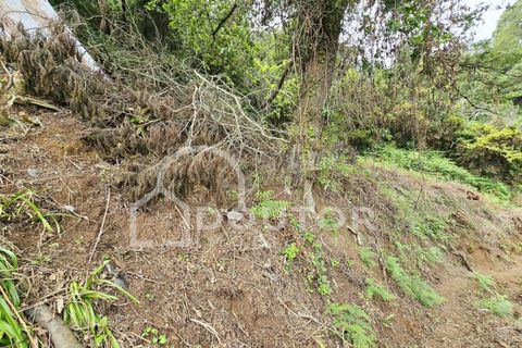 Helårsgrund i Machico, Madeira, Machico - € 350.000 | Ref: DR463 - foto 7
