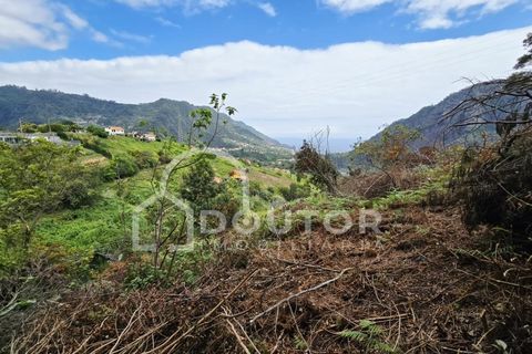 Helårsgrund i Machico, Madeira, Machico - € 350.000 | Ref: DR463 - foto 9