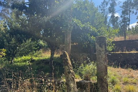 Villa i Caminha, Viana do Castelo, Caminha - € 185.000 | Ref: A802025 - foto 13