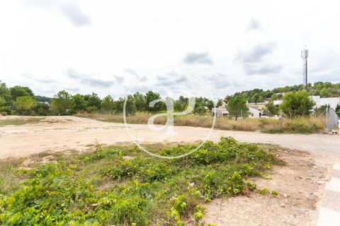Helårsgrund i Chiva, Valencia, Chiva - € 440.000 | Ref: VV2506013 - foto 3