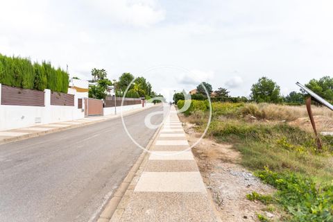 Helårsgrund i Chiva, Valencia, Chiva - € 440.000 | Ref: VV2506013 - foto 5