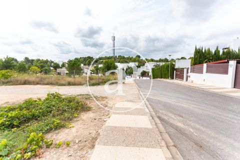Helårsgrund i Chiva, Valencia, Chiva - € 440.000 | Ref: VV2506013 - foto 6