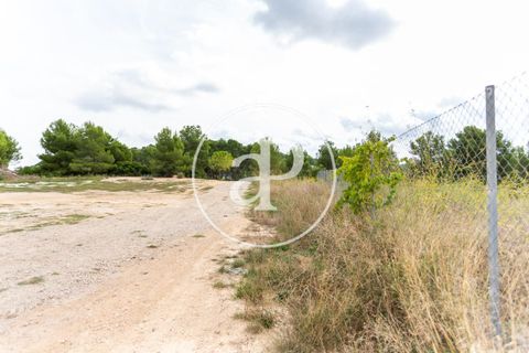 Helårsgrund i Chiva, Valencia, Chiva - € 440.000 | Ref: VV2506013 - foto 8