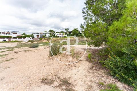Helårsgrund i Chiva, Valencia, Chiva - € 440.000 | Ref: VV2506013 - foto 13